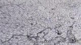 河南一水库一夜之间干枯，考古专家考察后，挖出了6条“金龙”