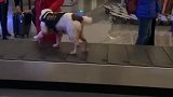 狗子：小姐姐快摸摸我的脑袋吧！