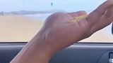 鸟：今天整点好吃的