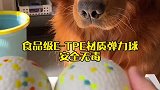 十天内咬坏包赔