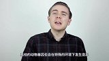 非洲培育出“无毛鸡”，全身上下没有一根毛！画面简直辣眼睛
