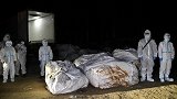 涉案48人！海南海警破获今年首起海上走私冻品案