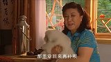 匣子问丁香买小狗用了多少钱，不料丁香的回答让人震惊，十万啊！
