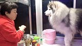 美元我坐好我最乖