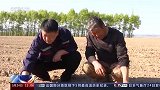 农发行40亿元资金助力黑龙江大豆扩种