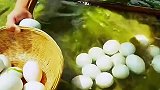 这样捡鸭蛋，一看就是摆拍