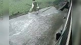 监控下的倒霉瞬间