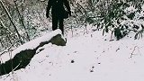 一次失败的爬山,就这样背了一个单反和无人机在大雪中就进山了