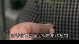 最霸道的水果，你知道是什么吗？