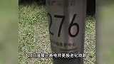 黑龙江一路灯杆漏电电倒小孩，市民带电笔检测确认漏电，当地回应