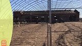 农民王小：老妈铁锅炖一锅海鱼招待，屯邻顿时干活起劲，鹅场继续