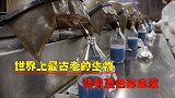 鲎：世界上最古老的生物，流着蓝色的血液，至今存活4亿多年