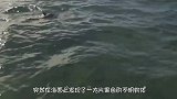 男子海边游泳，发现一片黑色向岸边袭来，看清后撒腿就跑