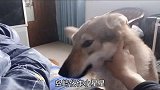 撒娇卖萌就你最行