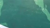 热爱是一辈子的事