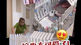 全是老母亲的爱！！！#日常vlog##萌宠##手工#