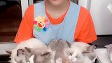 人生赢家就是我么错了把猫给我