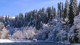 新疆冬季河边的雪景！
