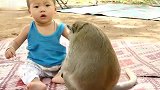 小男孩想拥抱一下猴子