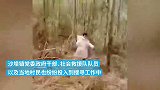 4岁女童户外玩耍走失，钦州警民联手奋战两日在小山上找到