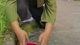 让你一边吃一边扔，遭报应了吧