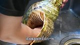 大厨处理巨型海螺，煮上2分钟直接伸手掏，切片蘸酱有嚼劲！