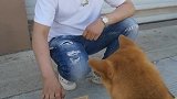 文明交易，不要耍小聪明哦。