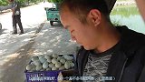 双黄的鹅蛋5元一个，普通的2.5元一个，买十二个回家尝尝鲜