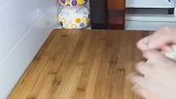 大包子的美味做法