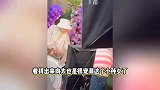 郭碧婷带女儿为向太庆生，4岁向芷身高惊人，向太拉手孙女满眼宠爱