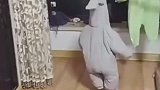 爸爸把儿子藏起来了