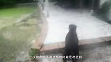50年无人问津的泳池，老外用高压水枪大改造，成果令人耳目一新