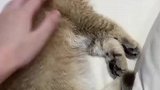 万万没想到这一天来得这么快