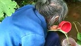 老人山里缺水交不起水费，每次走十几里山路到这里取水！