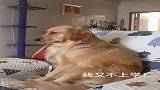 真的不举办一个魔性睡姿大赛吗