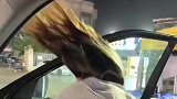 被台风吹成了“塞亚人”，大自然是最棒理发师