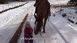马儿不慎陷入沼泽，众人都劝主人放弃，结果主人的做法却不一样