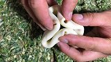 什么叫燕子饺子呢，最详细的手法视频了