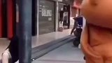 这只熊不太老实啊！