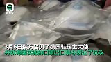 被德国拦截24万只口罩！瑞士方急召德国大使抗议