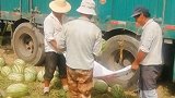装瓜绝技！20斤西瓜“飞”进车厢 网友：666