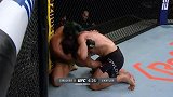 UFC格斗之夜170：乔尼-沃克尔VS克雷洛夫