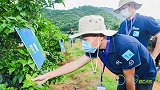 助本土柑橘优果优价，科技植保“家门口”支招