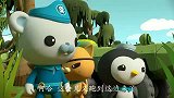 海底小纵队：去吧，小沼泽蛙！皮医生救了它