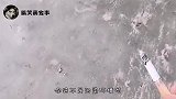 老了，不行了，现在一天只能喝这一罐啤酒了