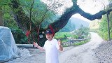湘西古村落发现一颗柳树，树龄岁，据说还有很多神奇故事