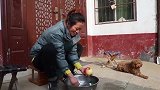 大嫂在家做苹果干，弟媳拿两样蔬菜烤成干，烤了四小时才吃到嘴里