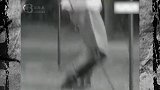 1934年的一段太极拳珍贵录像，将太极拳的精髓展现的淋漓尽致