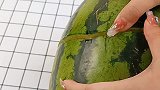 仓鼠做好看的西瓜！太意外了…