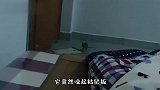 哥们儿，你好歹也瞄一下准，你以为这是机关枪呢
